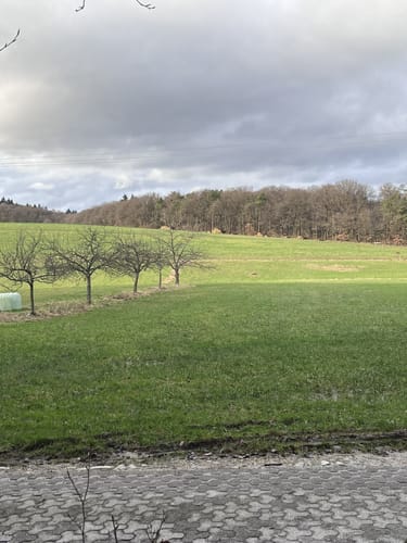 Von Kelkheim zum Großen Mannstein und der Luisenruhe