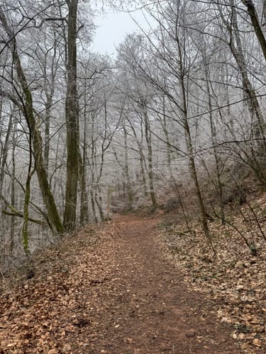 4-Burgen-Tour Notweiler