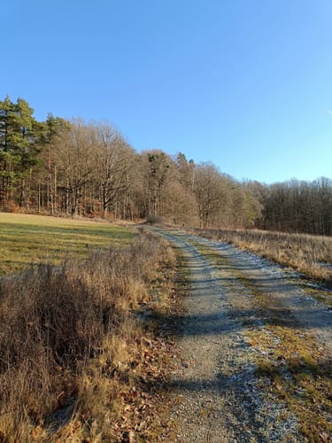 Rhön-Rundweg 1 Bad Salzschlirf