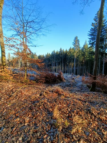 Rhön-Rundweg 1 Bad Salzschlirf