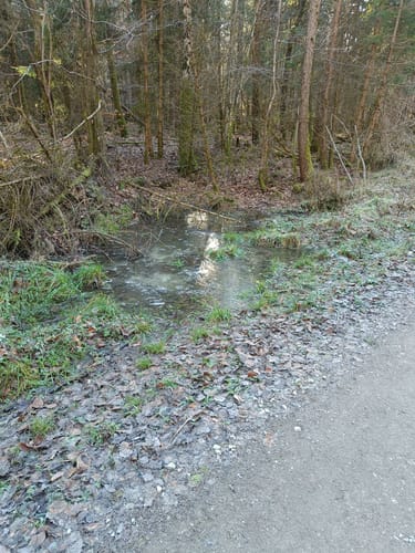 Rhön-Rundweg 1 Bad Salzschlirf