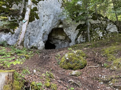 Donautal: Bergsteig - Ziegelhöhle - Ruine Kallenberg
