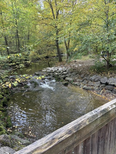 Maisinger Schlucht Rundweg