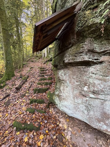 Rundwanderweg Hirschhorn 6: Waldbrudershütten-Weg