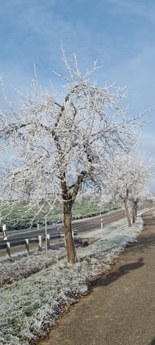 Bad Rappenau: Rundwanderung Sommerberg (BR 2)