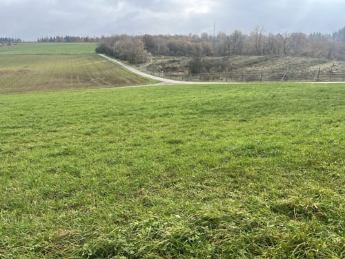 Vom Warsberg nach Ayl