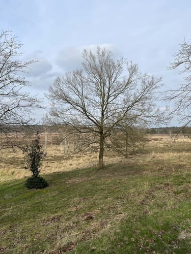 Tackenbendener-Runde (Premium-Spazierwanderweg)