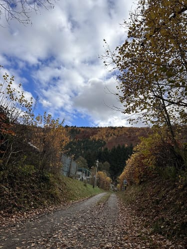 Heckenlandroute