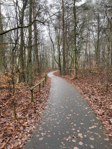 Rund um den Werbellinsee