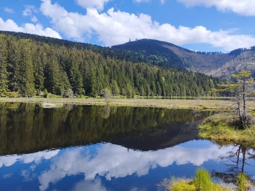 Rundwanderweg Kleiner Arbersee