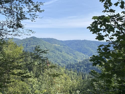 Von Lautenbach zur Grünberghütte