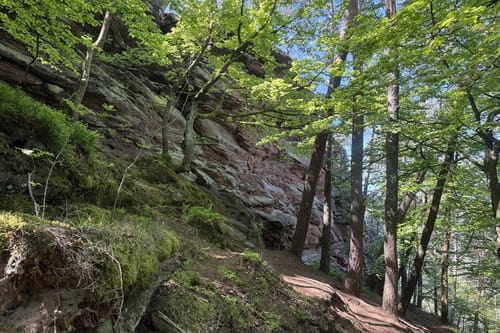 Busenberger Holzschuhpfad (Premiumwanderweg)