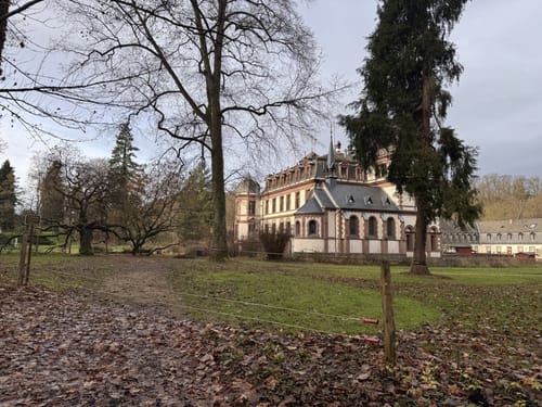 Durchs Wäldchen hinterm Schloss Ahrental