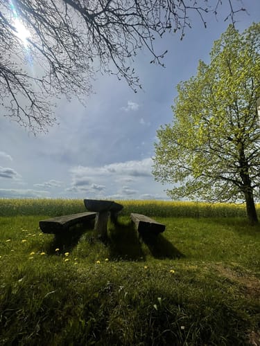 Sagenhafter Waldpfad (Pfalz)