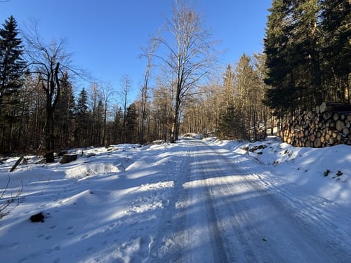 Vesser - Adlersberg