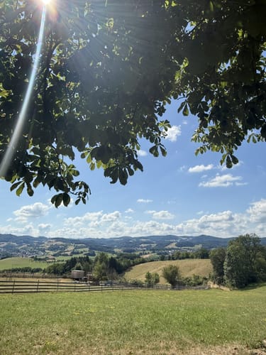 Rundwanderweg Mörlenbach 2: Breitenbach-Weg