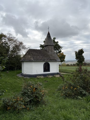 Moselsteig Etappe 22: Löf - Kobern-Gondorf