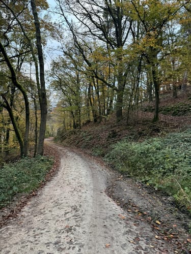 Panorama-Weg Eppstein