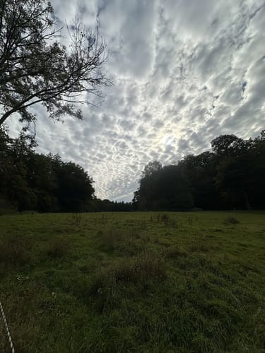 Rundweg Wohldorf - Duvenstedt