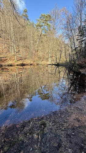 Bärenlochweiher - Heidenfelsen - Nanstein