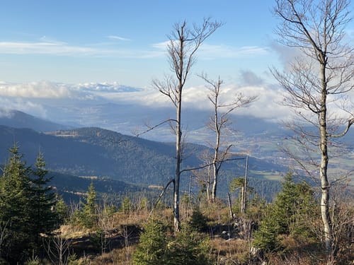 Falkenstein Runde