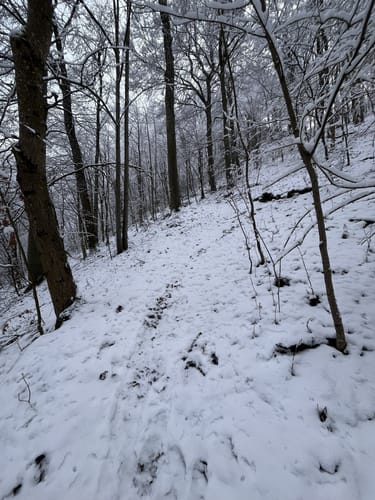 Zum Segelfluggelände Roßfeld