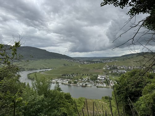 Seitensprung Mehringer Schweiz