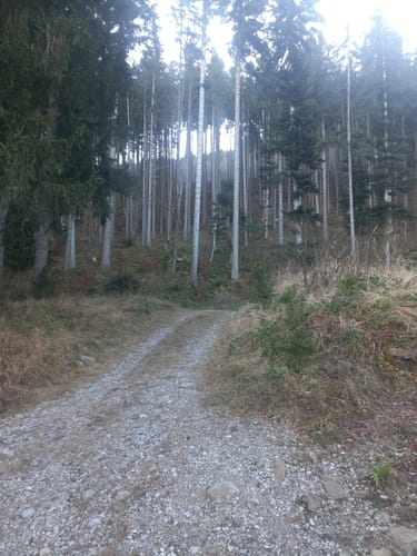 Stallauer Kopf - Zwiesel - Blomberghaus - Heiglkopf