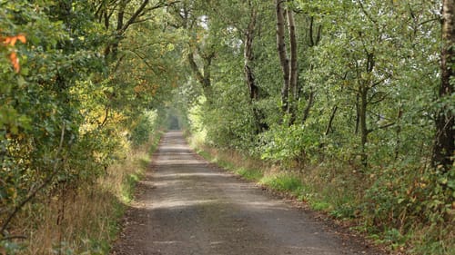 Hügelgräberheide Halle-Heringen