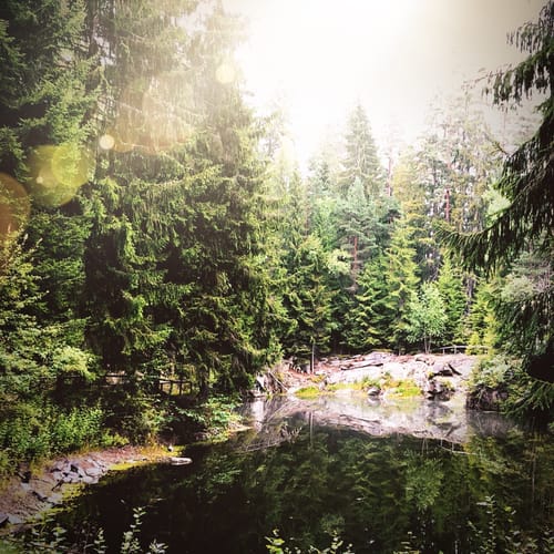 Selber Vorwerk - Großer Hengstberg - Häuselloh