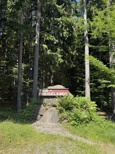 Baumwipfelpfad und Tier-Freigelände im Nationalpark Bayerischer Wald