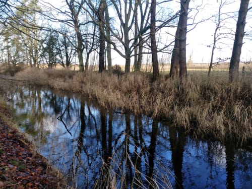 Markgrafenheide - Heiligensee - Hüttelmoor