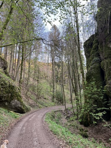 Pegnitztal bei Rupprechtsstegen