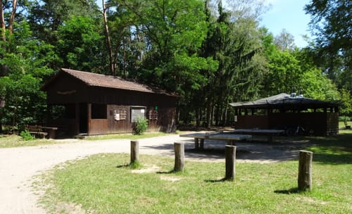 Lampertheimer Wald zwischen Lorsch und Lampertheim