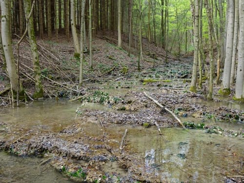 Rundweg Wannbach - Poppendorf