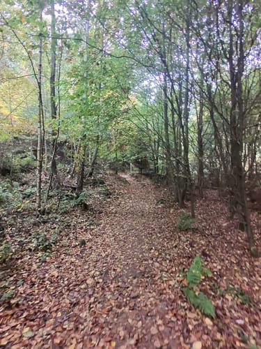 Ganerbenweg (Premiumwanderweg)