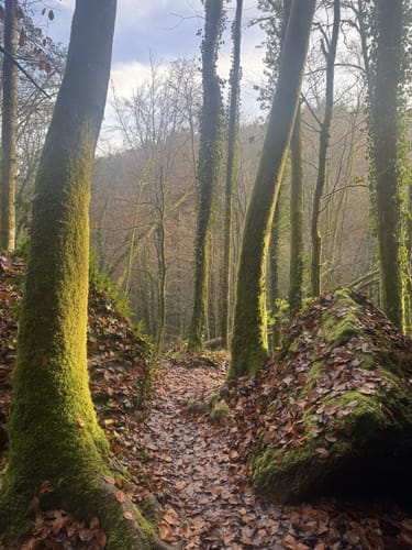 Teufelspfad (Premiumwanderweg)