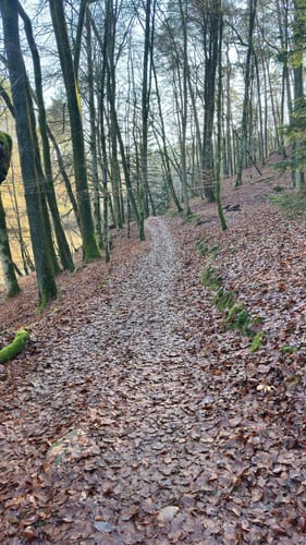 Altschloßpfad (Premiumwanderweg)