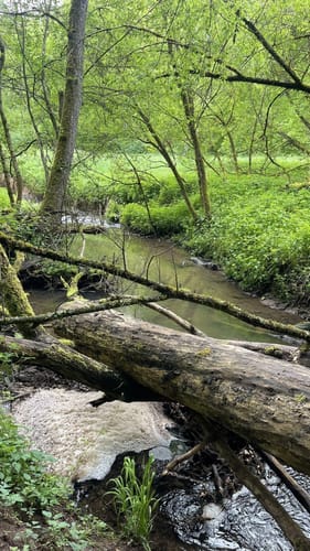Herzog-Jäger-Pfad (Premiumwanderweg)