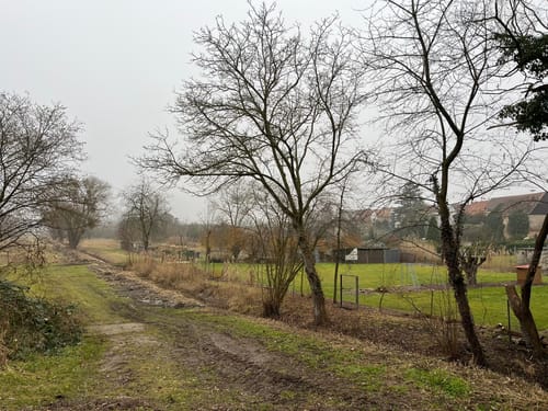 Oberwaldweg (Kurhardt)