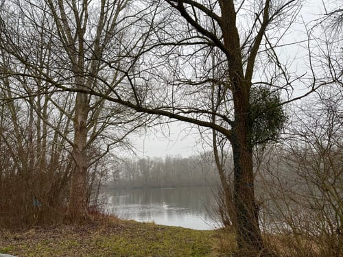 Oberwaldweg (Kurhardt)