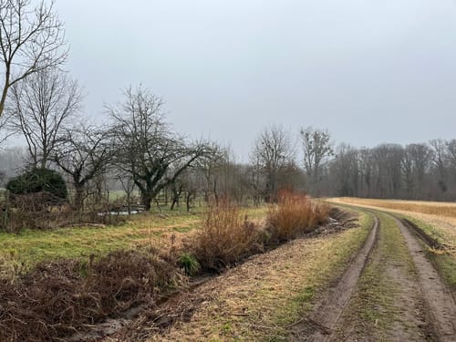 Oberwaldweg (Kurhardt)
