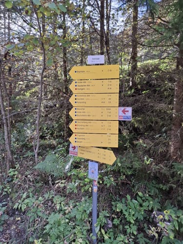 Auf den Hochfelln übers Wasserwandl