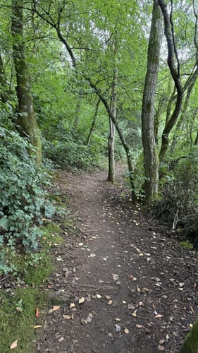 Losheim - Seegarten - Stausee