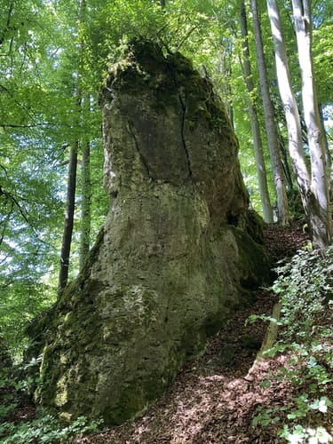 Der Karstkundliche Wanderpfad