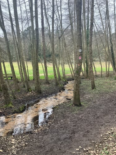Wachenheim Rundweg Nr. 2