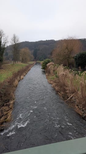 Von Hoffnungsthal rundum der Sülz