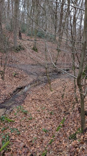 Von Hoffnungsthal rundum der Sülz