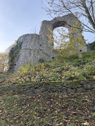 Runde um den Rodderberg