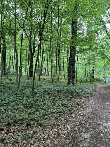 Hülser Berg Rundweg